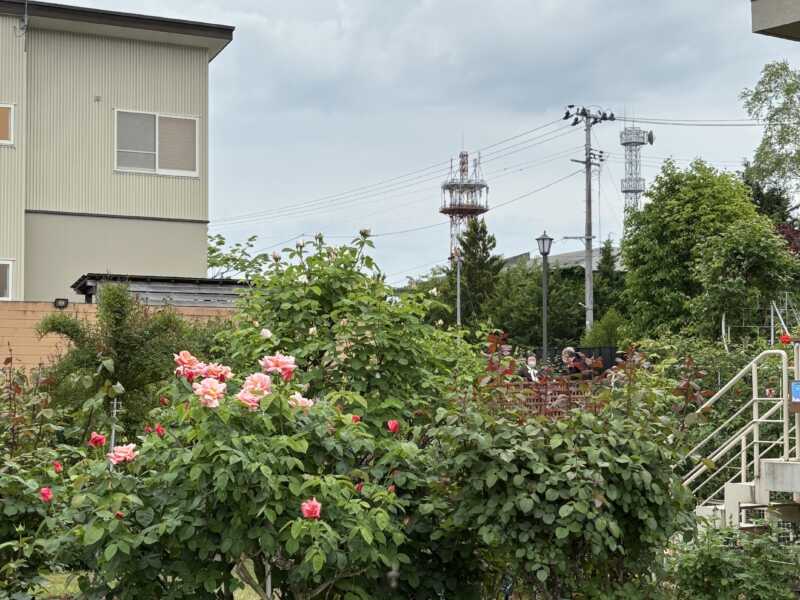 石田ローズガーデン