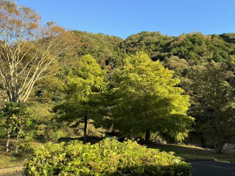 ふれあいパーク大原湖