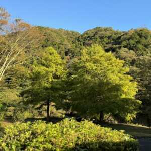 ふれあいパーク大原湖