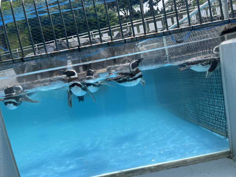 のとじま水族館