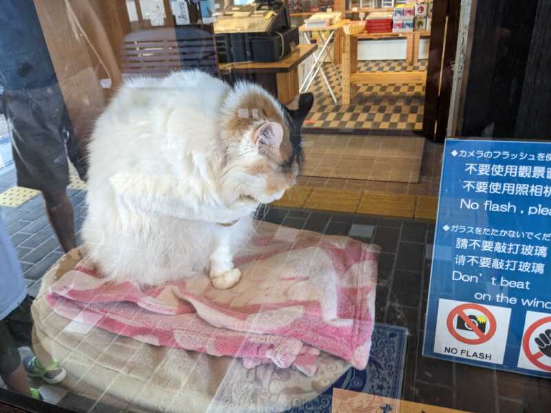 和歌山電鐵 貴志駅