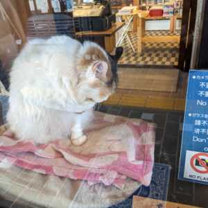 和歌山電鐵 貴志駅