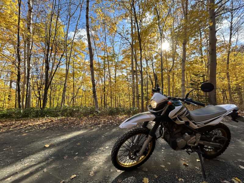 北海道道道70号芦別美瑛線