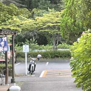 宮ヶ瀬湖 水の郷