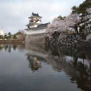 富山城址公園