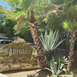 GAJUキャンプ場