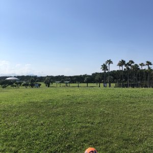 辻堂海浜公園