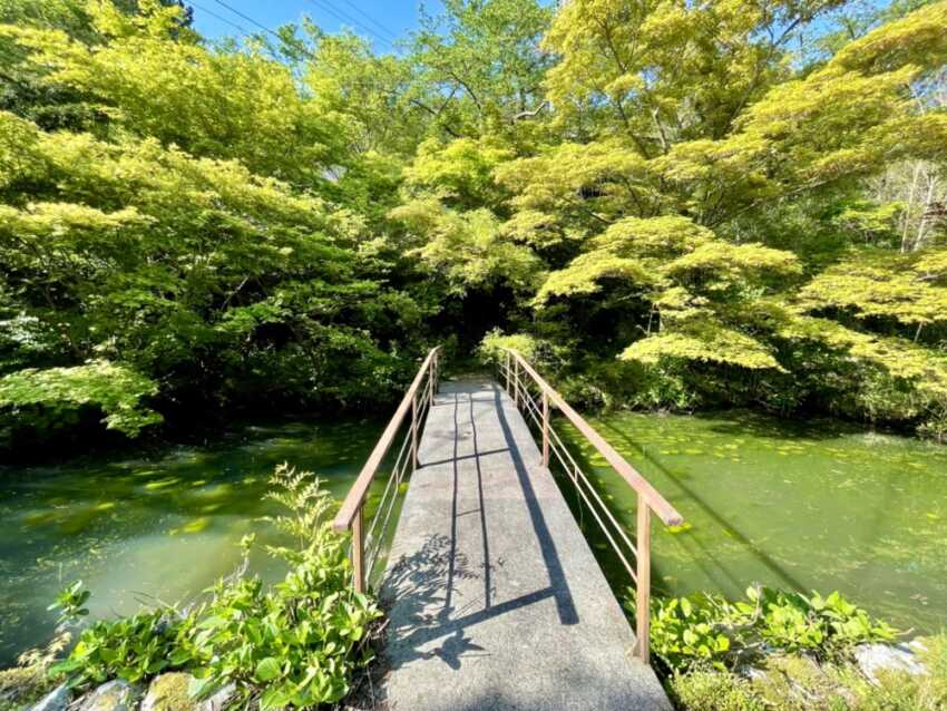 長谷寺の池と橋