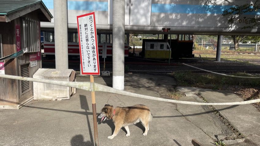 那珂川清流鉄道の番犬
