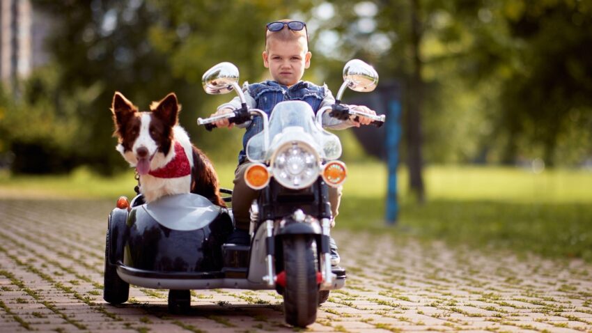 子供が運転するバイクと犬