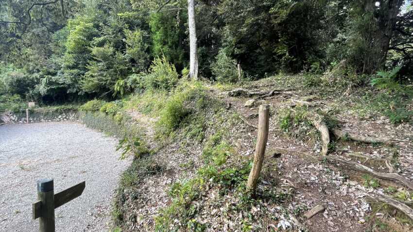 玉若酢命神社の脇道