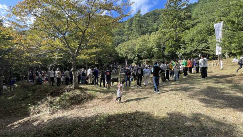 一夜ヶ嶽牛突き