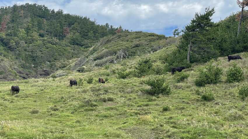 那久岬の景色