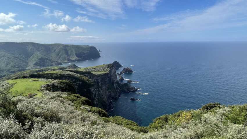 摩天崖から見た海