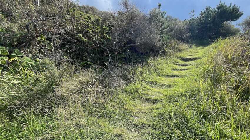 国賀海岸から摩天崖への道