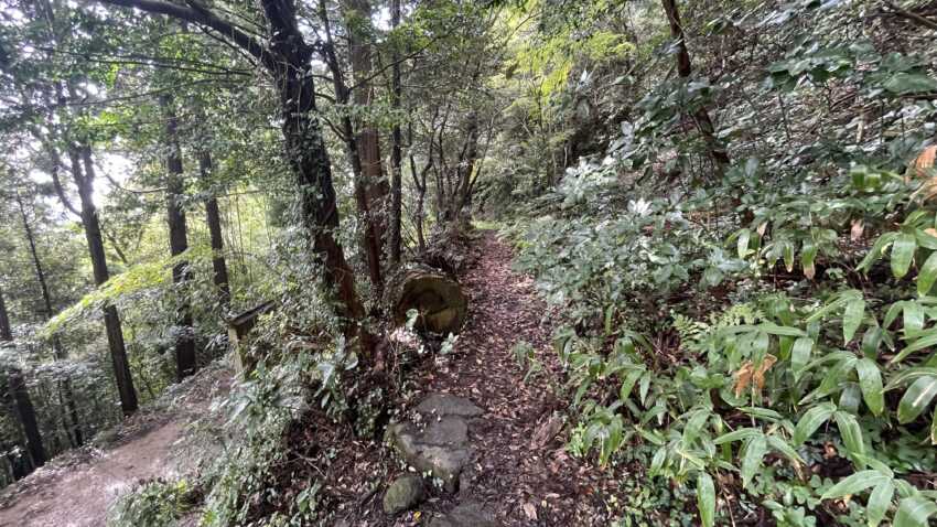 焼火神社の裏道