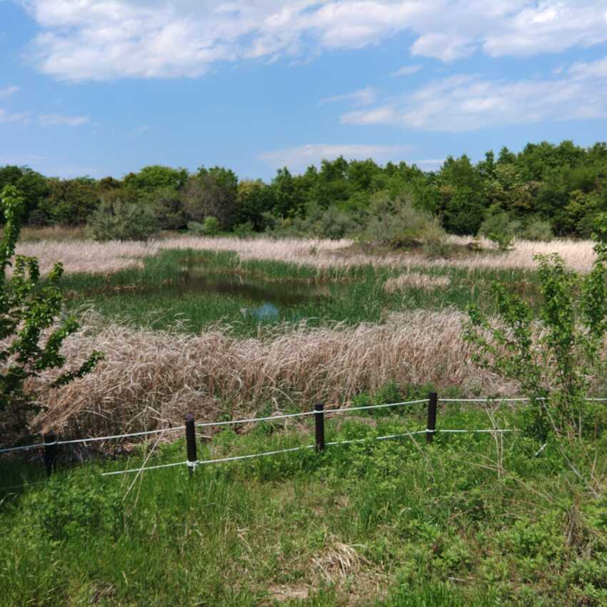 海の森公園